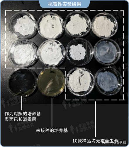 北京固化烘箱排名前十(薄膜烘箱)插图23