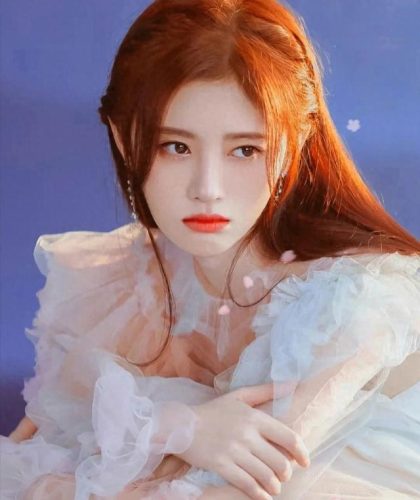 中国一线女明星排行榜(2023年一线演员)插图