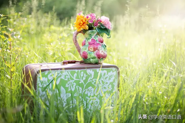 替代品英文(替代品还能怎么说)插图