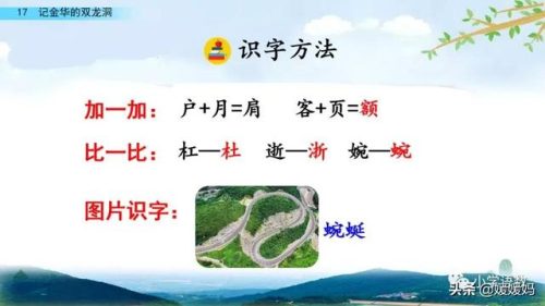 鹃的拼音和组词(鹃什么词语)插图27
