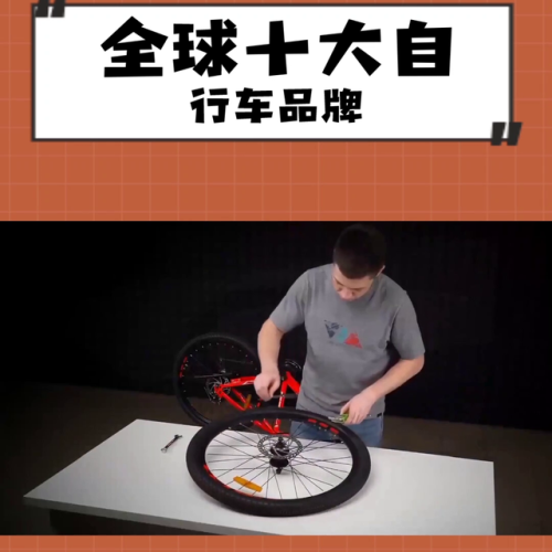 美国自行车排行榜(全球自行车品牌排行榜)插图3