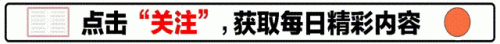 问题车排行榜(车辆故障率排名)插图
