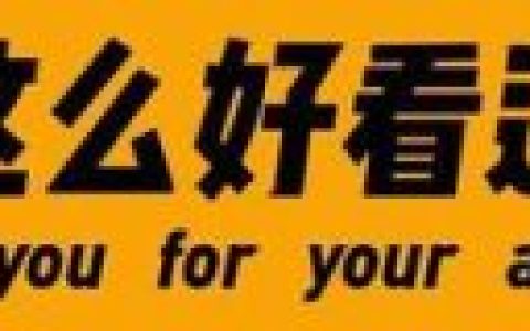 中式油烟机排行榜(中国油烟机十大名牌排名)