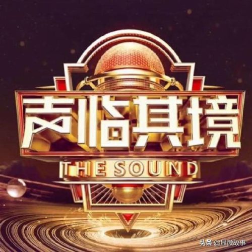 中国声优(中国配音演员)插图4