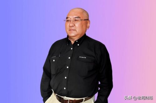 企业家收入排行榜(中国100名企业家的排名)插图4