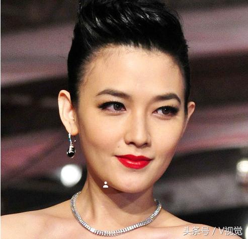 龙门飞甲电视剧演员表(龙门飞甲双胞胎到底是谁)插图3