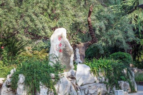 济南好玩的地方排行榜(济南打卡必去的地方)插图32
