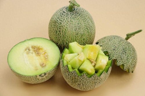 十大最好吃的枇杷排行榜(鸣蝉金枇杷)插图5