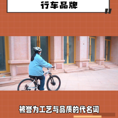 美国自行车排行榜(全球自行车品牌排行榜)插图1