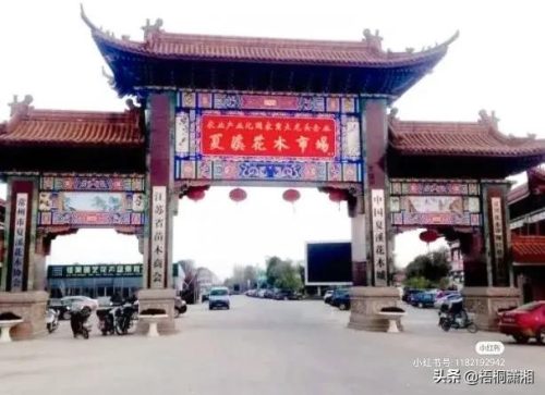 全国最全花市排名前十(医科大学全国排名)插图3