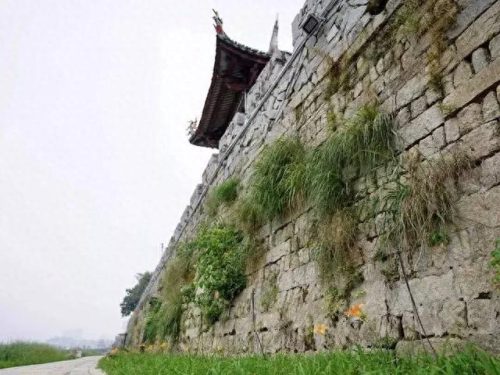 同安区湿地公园排名前十(同安汀溪湿地)插图21