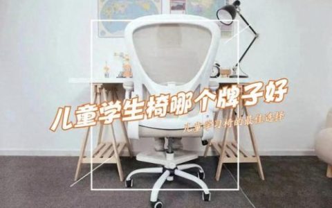 学生椅子品牌排行榜(口碑最好的儿童桌椅排行榜)