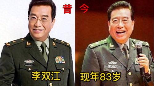 年度十大男高音演员排行榜(十大实力男演员)插图16