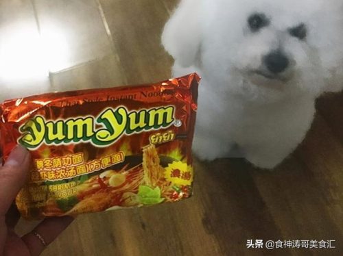泡面排行榜(全球十大最好吃的泡面)插图16
