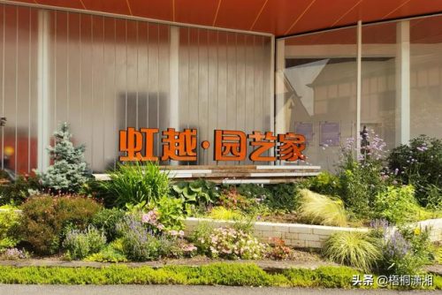 全国最全花市排名前十(医科大学全国排名)插图10