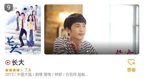 2015网络剧排行榜(网络剧排行榜前十名)插图1