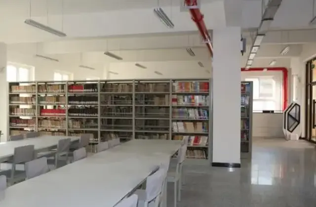 九十二中(广州九十二中学学霸是谁)插图6