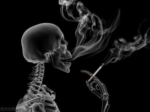 世界最的烟排行榜(十大名烟)插图11