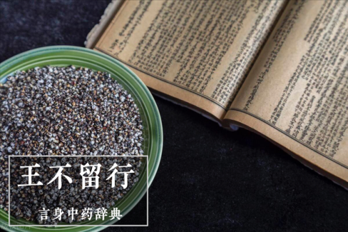 洛阳催奶中医排名前十(洛阳妇科调理最有名的老中医)插图6