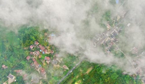常州锅炉低氮改造排名前十(常州迪森锅炉)插图2