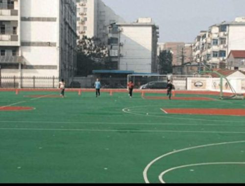 江苏扬州小学学校排名前十(扬州最差十所小学)插图1