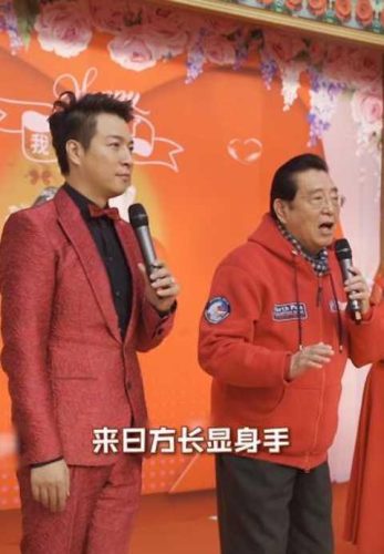 梦鸽年龄(魏金栋与梦鸽哪年结婚)插图4