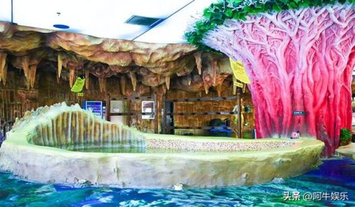 全国户外泳池排名前十(全球最高的无边泳池)插图19