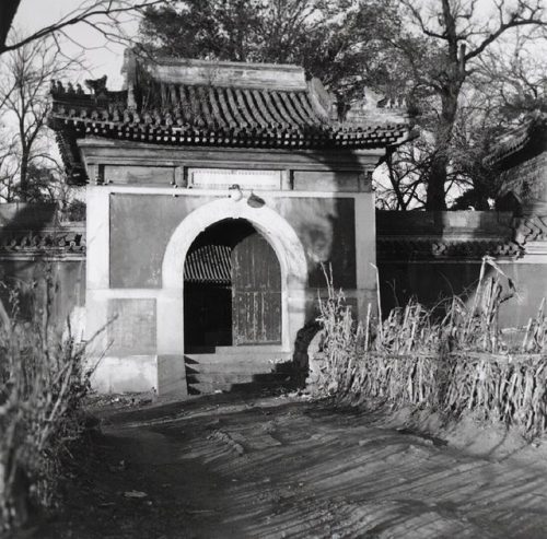 青帮老大(蒋介石是青帮什么辈分)插图7