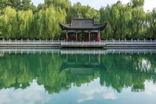 济南好玩的地方排行榜(济南打卡必去的地方)插图30
