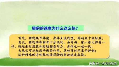 俯冲的近义词(府冲近义词是动词吗)插图1