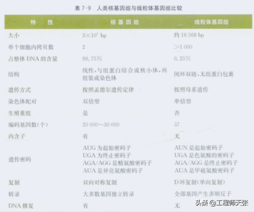 杭州杀妻案细节(杭州妻子消失案全过程)插图4
