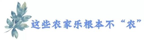 崇州农家乐排行榜(崇州环境最好农家乐)插图4
