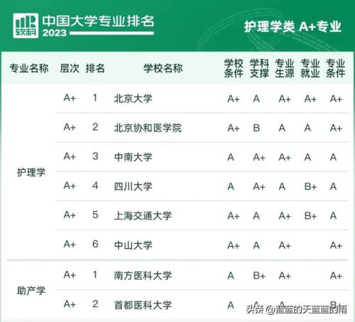 各大学专业排行榜(全国大学a+类学科排名)插图77
