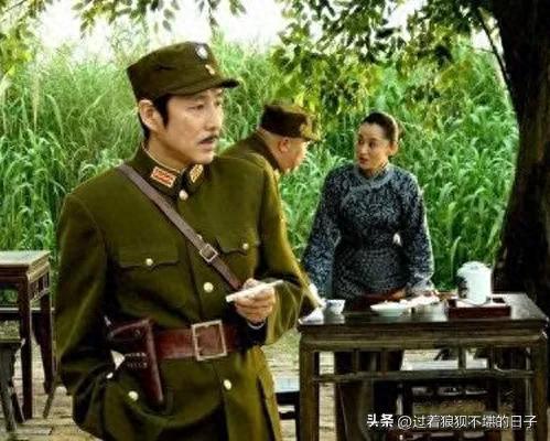 十大样板戏剧排行榜(样板戏十大经典唱段)插图10