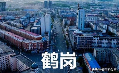 鹤岗十大名小吃排行榜(鹤岗小吃第一名)插图