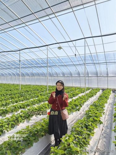高陵小众景点排名前十(高陵周边游玩景点推荐)插图3