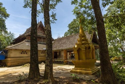 西双版纳景点排行榜(过年西双版纳旅游攻略)插图27
