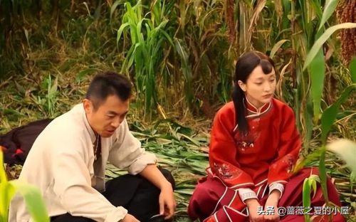 红高粱电视剧剧情(红高粱主要内容概括)插图6