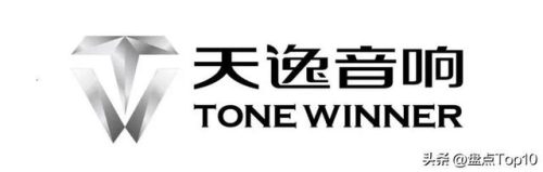 功放机品牌排行榜(功放机哪个牌子好)插图13