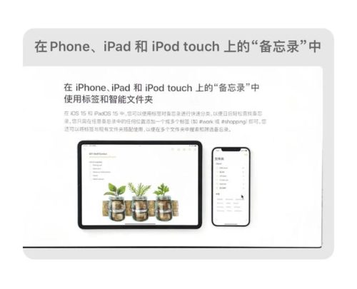 备忘录格式(备忘录格式怎么调整)插图8