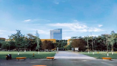深圳的大学的排行榜(深圳大学有哪些专业)插图3