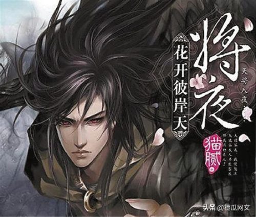 最火玄幻小说排行榜(十大完结巅峰神作小说)插图4