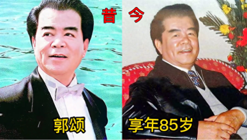 年度十大男高音演员排行榜(十大实力男演员)插图7