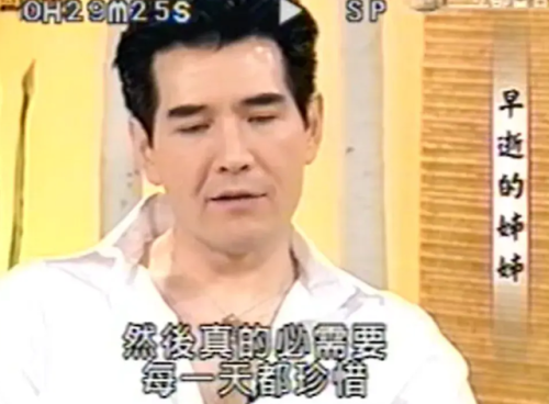 费翔的老婆(费翔与刘文正什么关系)插图21