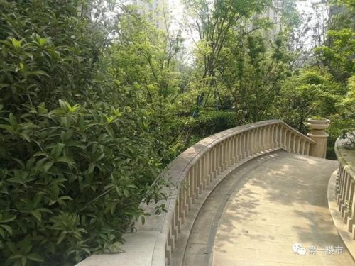 合肥超级豪宅排名前十(合肥滨湖小区排名最新)插图19