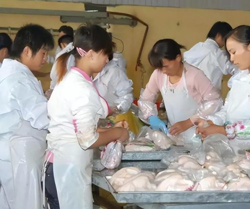 南阳镇平富豪排行榜(南阳前十富豪魏兴斌)插图4