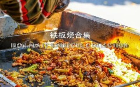 成都铁板餐馆排名前十(上海顶级餐厅排名)