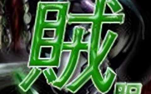 盗贼小说排行榜(盗贼的小说推荐)