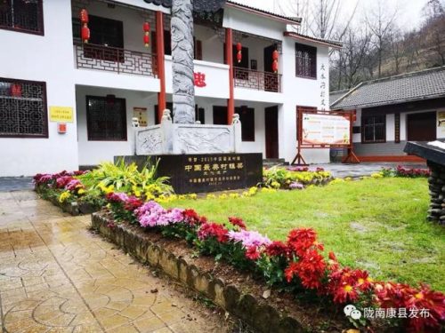 康县宾馆排名前十酒店(康县酒吧)插图13