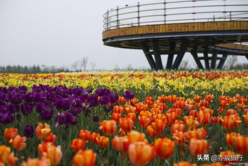 南阳景点排行榜(南阳景区排名前十)插图18